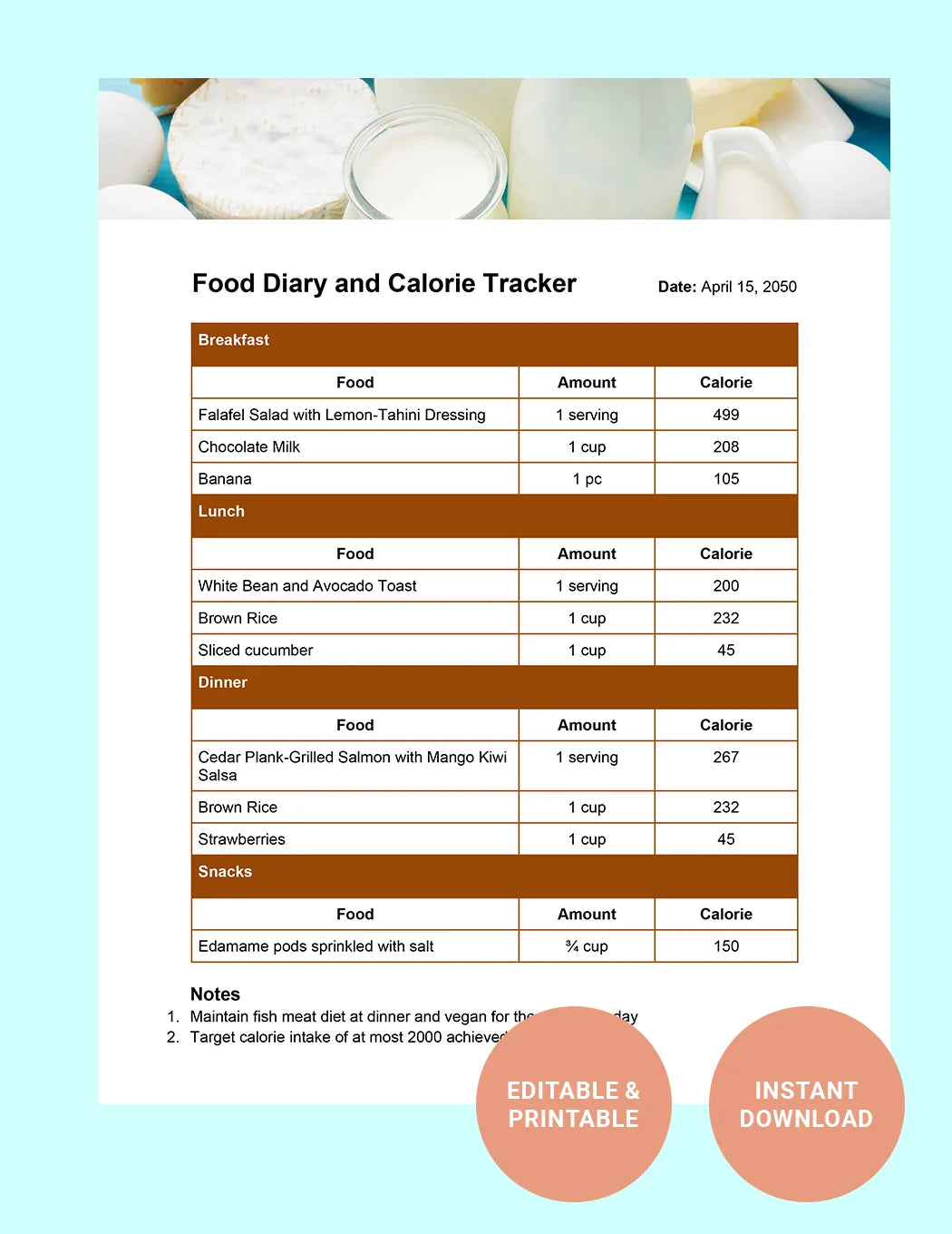 Free Food Diary and Calorie Tracker Template